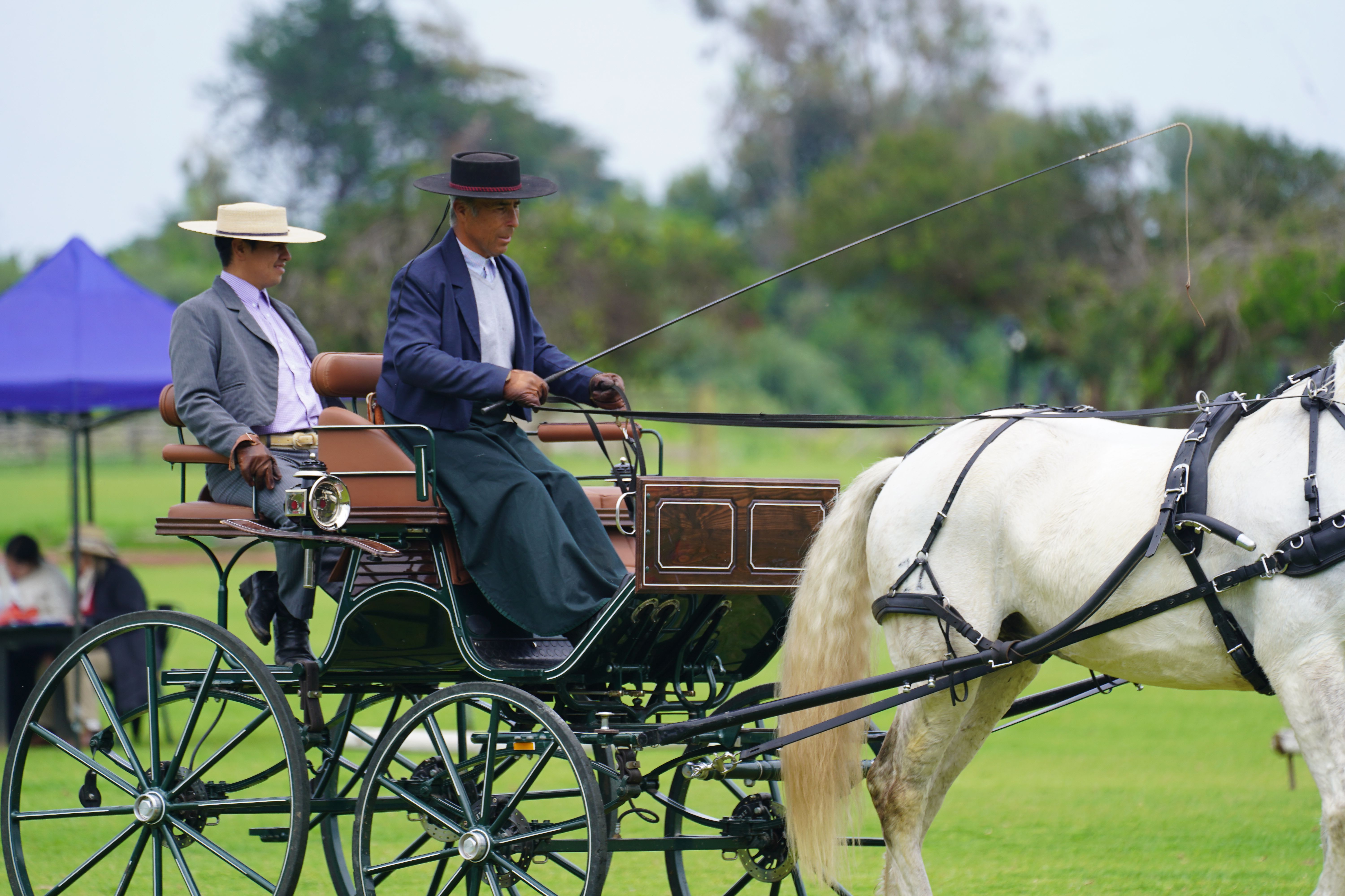 Cachagua - 2026 
