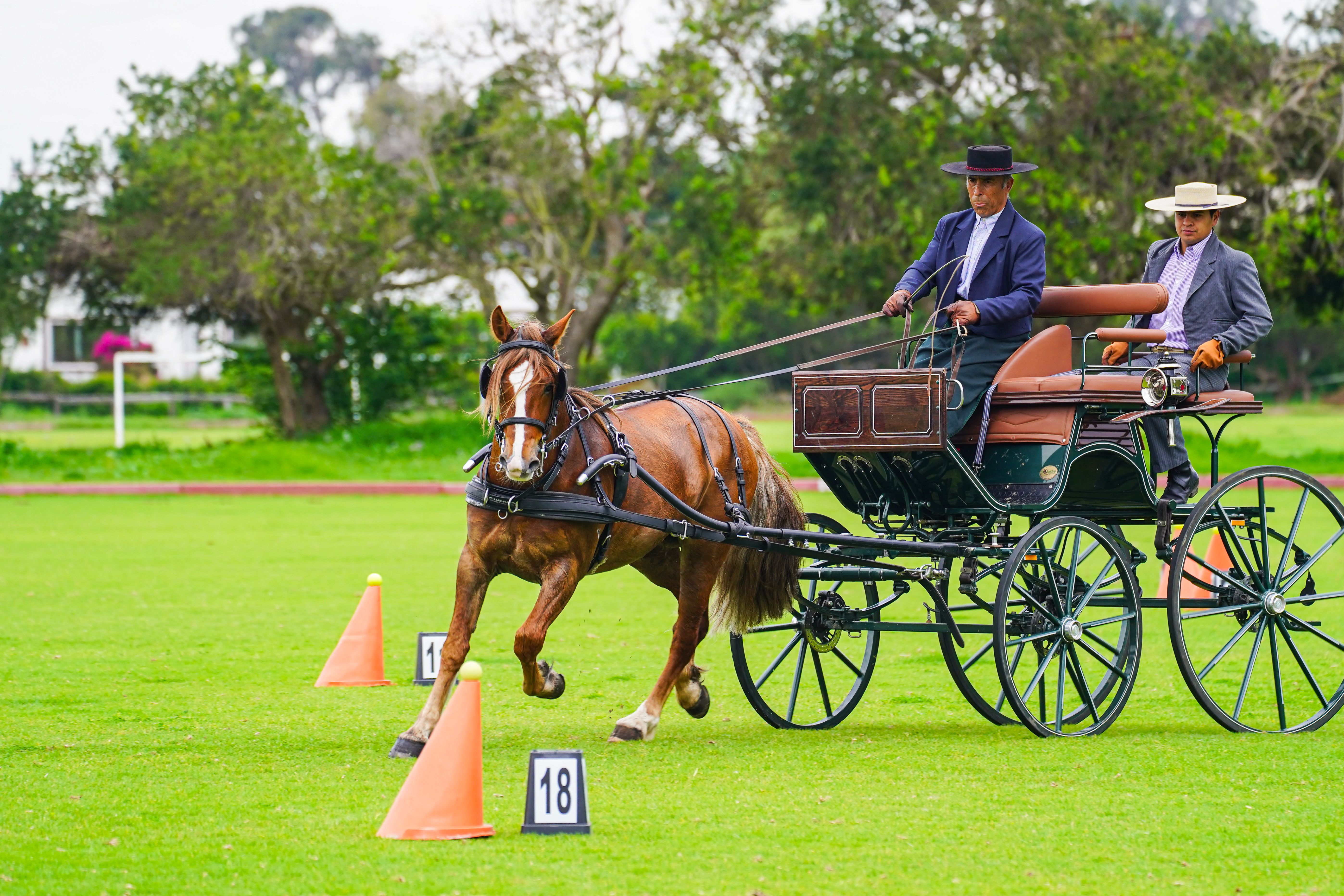 Cachagua - 2026 