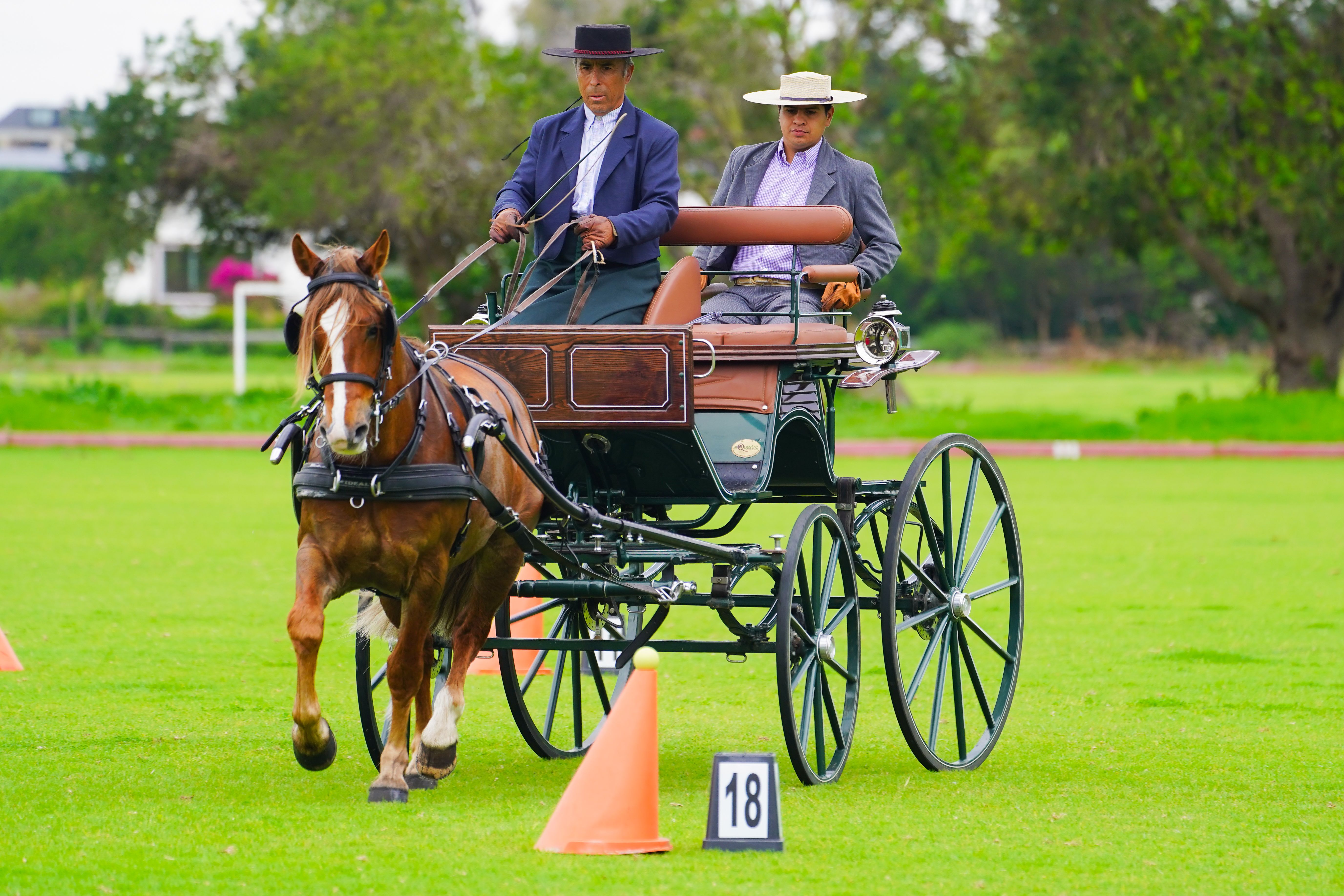 Cachagua - 2026 