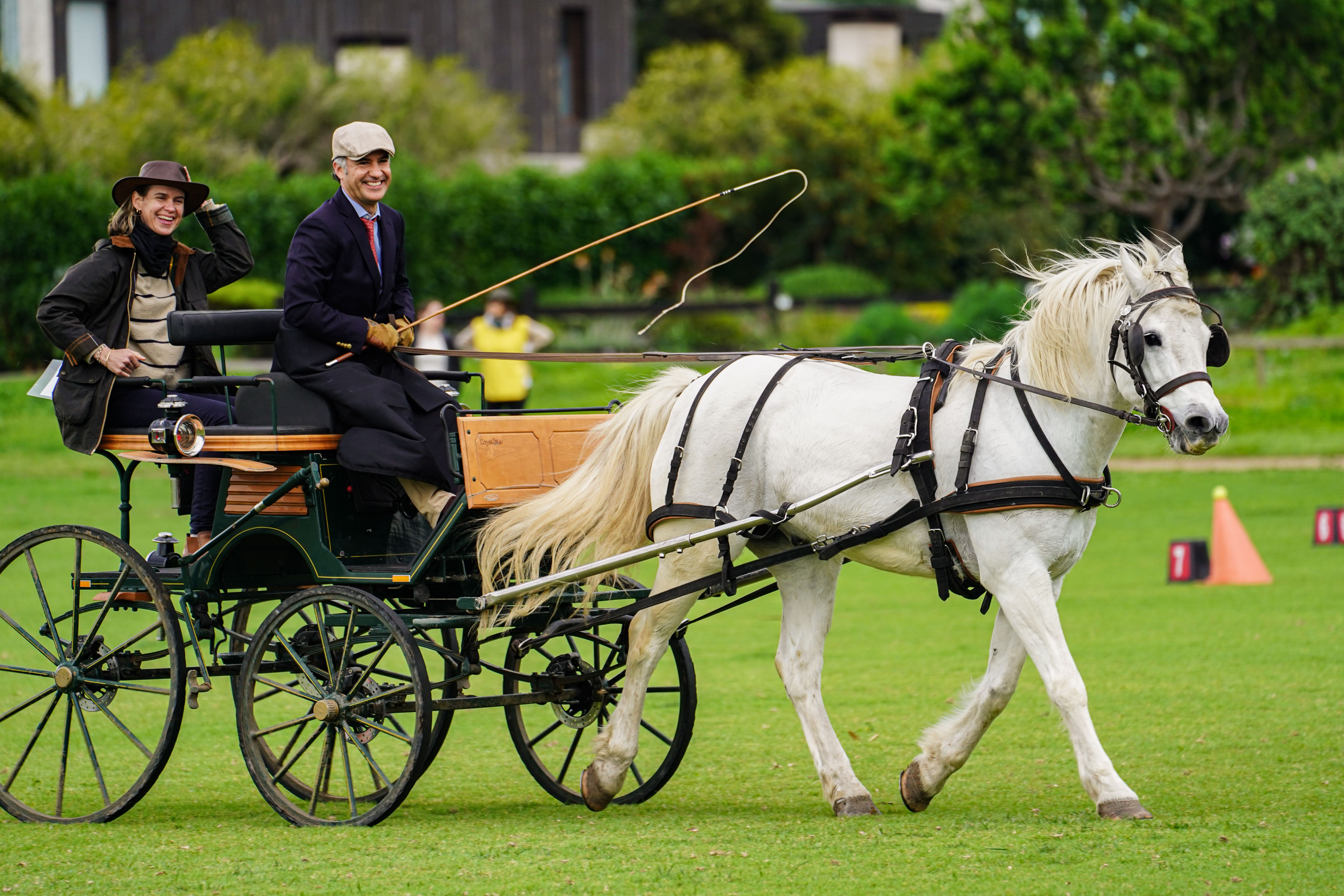 Haras Santa Amelia