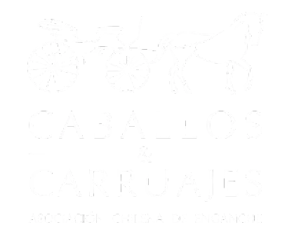 Caballos y Carruajes